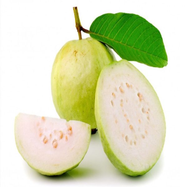Allahabadi-guava-g