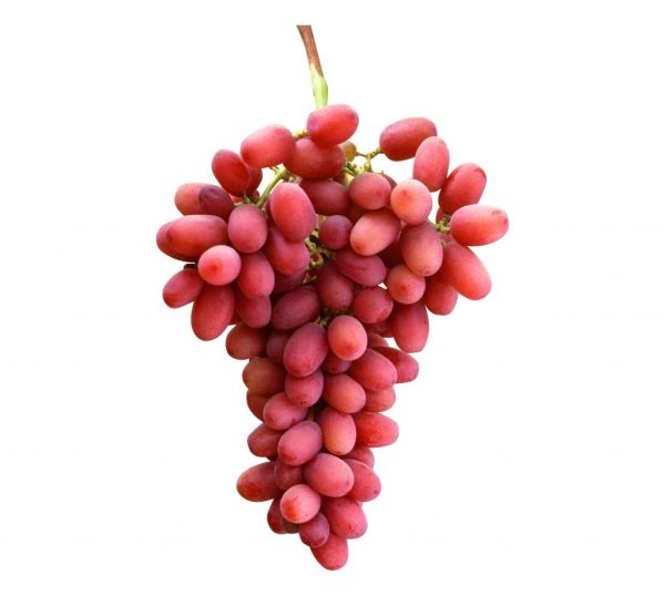 Crimson Seedless Grapes (Grafted)