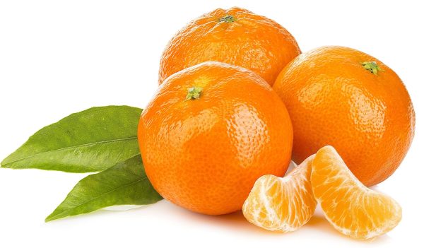 Pakistani Sweet Orange (Grafted)